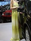 2010北京车展模特
