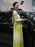2010北京车展模特
