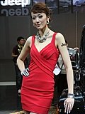 2010北京车展模特