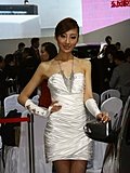 2010北京车展模特