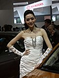 2010北京车展模特