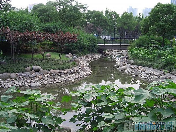 上海风情