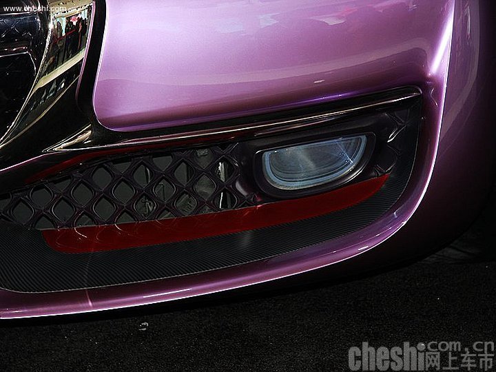 Ds3 车展