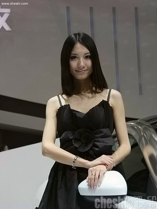 2010北京车展车模