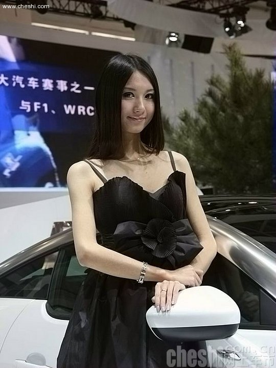 2010北京车展车模