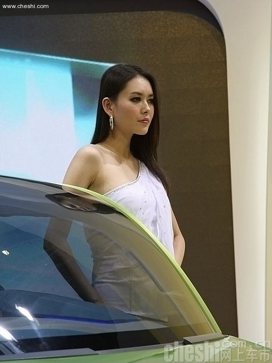 2010北京车展车模