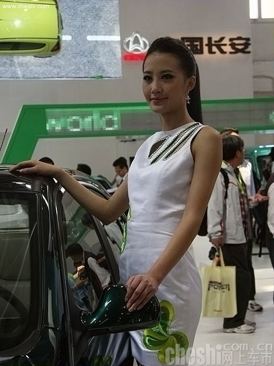 2010北京车展车模