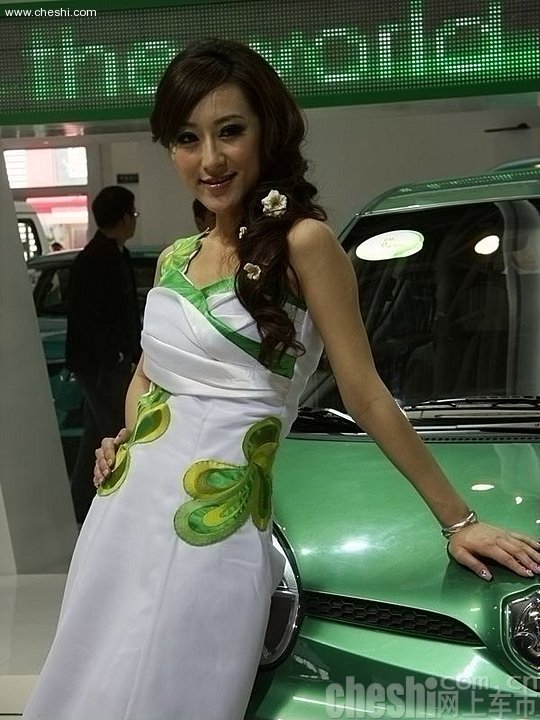 2010北京车展车模