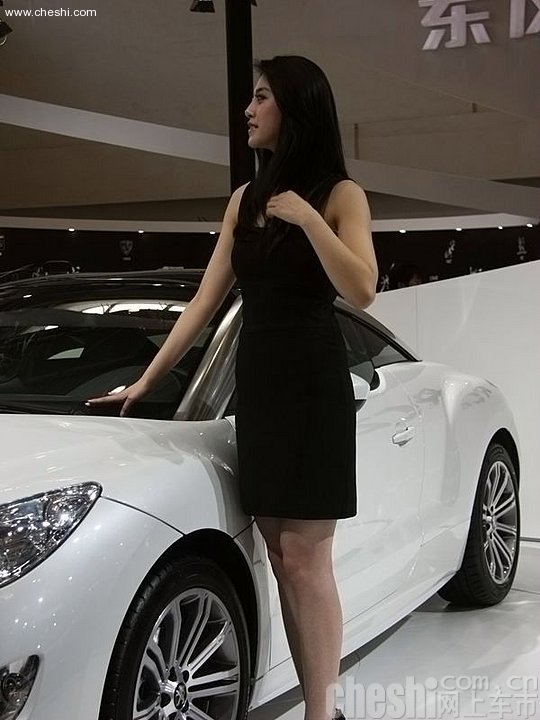 2010北京车展模特