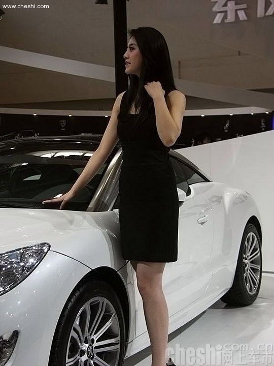 2010北京车展模特
