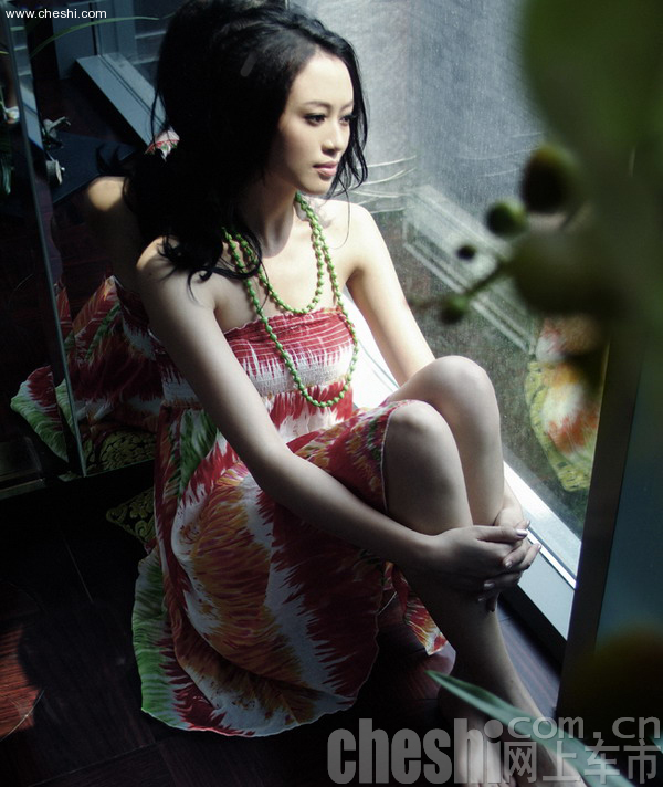 戴菲菲与车