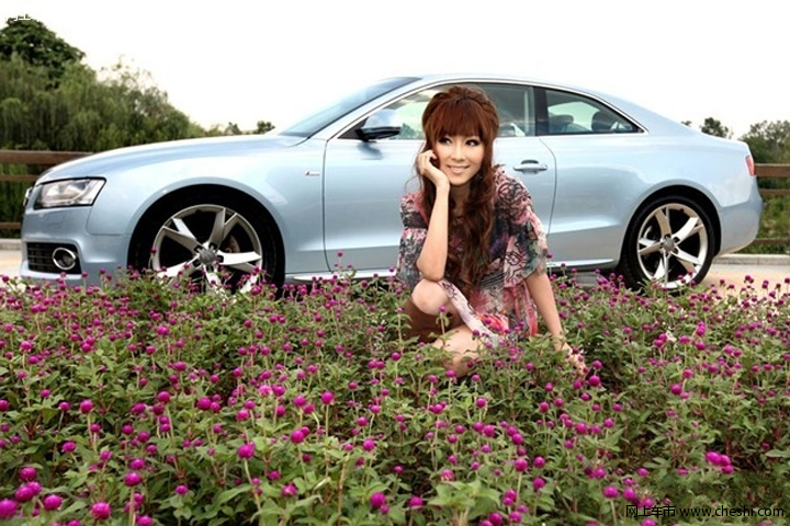 养眼美女与奥迪