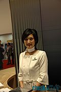 东京车展美女