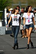 F1美女引导