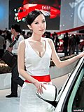 性感的车模