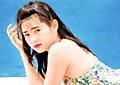 李丽珍与车