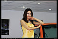 2009车展模特