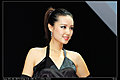 2009车展模特