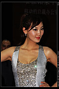 2009车展模特