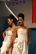 2009广州车展之美女模特