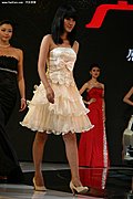 2009广州车展之美女模特