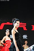 2009广州车展之美女模特