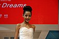 2009广州车展之美女模特