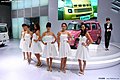 2009广州车展之美女模特