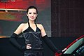 2009广州车展之美女模特