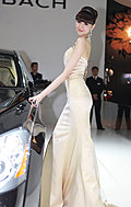 强势推出2009广州车展车模美女集中营
