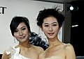 强势推出2009广州车展车模美女集中营
