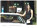 强势推出2009广州车展车模美女集中营