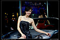 强势推出2009广州车展车模美女集中营