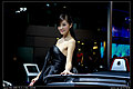 强势推出2009广州车展车模美女集中营