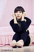 韩国车模具智星