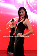 2009南宁东盟车展的美女车模们
