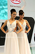 2009南宁东盟车展的美女车模们