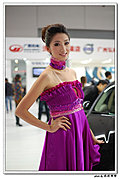 2009南宁东盟车展的美女车模们