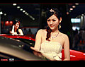 2009南京国际汽车展览会