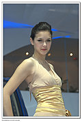 2009年车模-西洋菜
