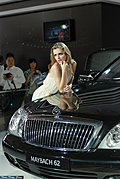 2009年车模-西洋菜
