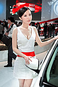 風韻十足的2009美女车模