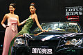 風韻十足的2009美女车模