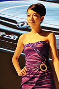 風韻十足的2009美女车模