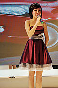 風韻十足的2009美女车模