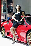 回顾一下2008北京车展