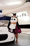 回顾一下2008北京车展