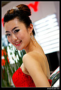 2009湖南车展最美丽车模