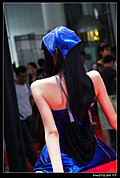 2009湖南车展最美丽车模