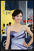 2009湖南车展最美丽车模